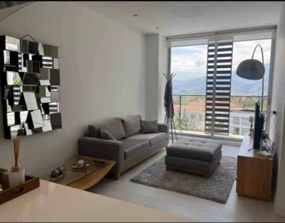 593 Vistas